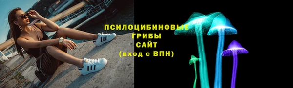 apvp Алагир