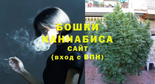apvp Алагир